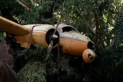 Остаться в Живых 1 сезон 19 серия